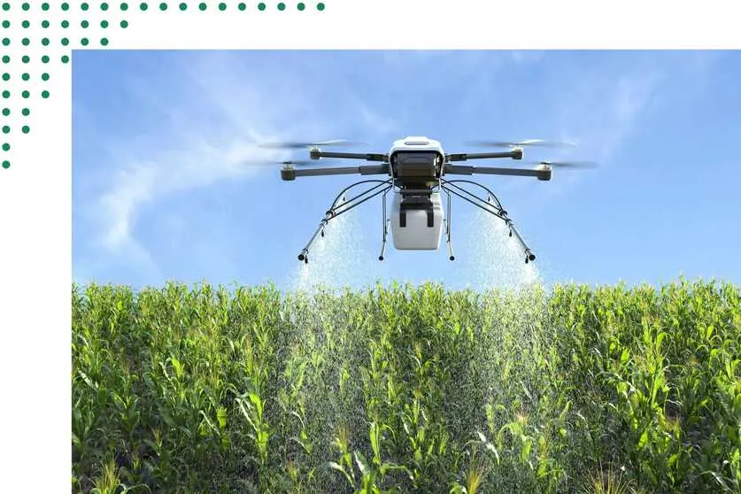 Crop Categories