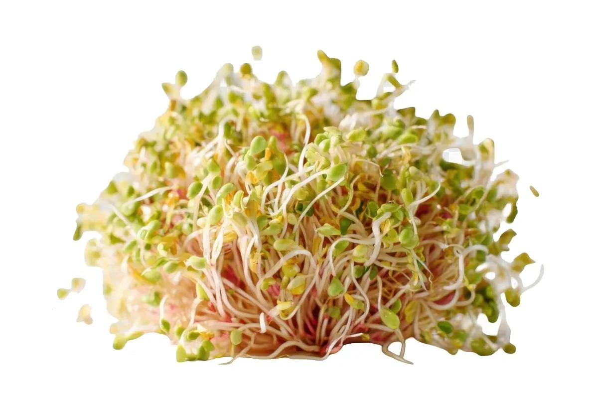Micobac Alfalfa