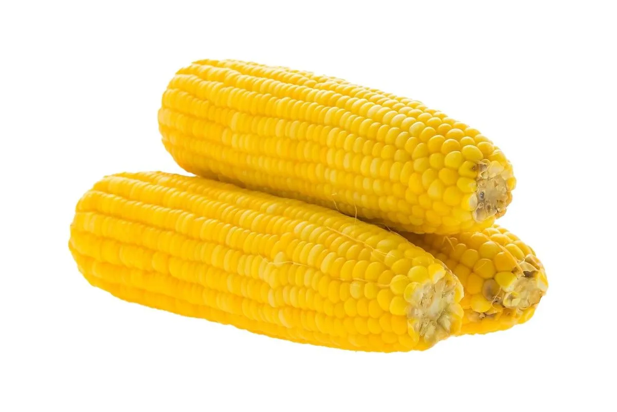 Micobac Corn