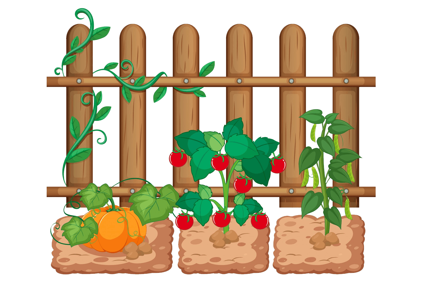 Micobac Kitchen Garden