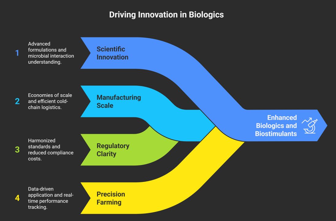 Driving Innovation In Biologies